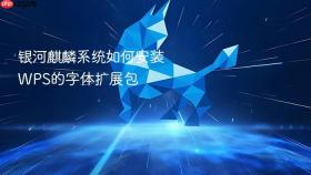 银河麒麟系统如何安装wps的字体扩展包