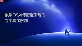 麒麟os如何配置系统的应用程序限制