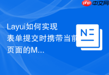 Layui如何实现表单提交时携带当前页面的Meta信息
