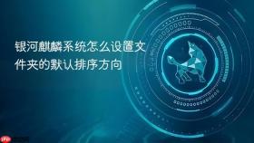 银河麒麟系统怎么设置文件夹的默认排序方向
