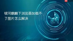 银河麒麟下浏览器加载不了图片怎么解决