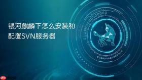 银河麒麟下怎么安装和配置svn服务器