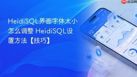 heidisql界面字体太小怎么调整 heidisql设置方法【技巧】