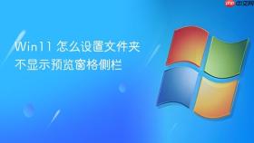win11 怎么设置文件夹不显示预览窗格侧栏