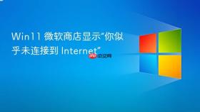win11 微软商店显示“你似乎未连接到 internet”