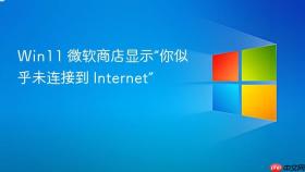 Win11 微软商店显示“你似乎未连接到 Internet”