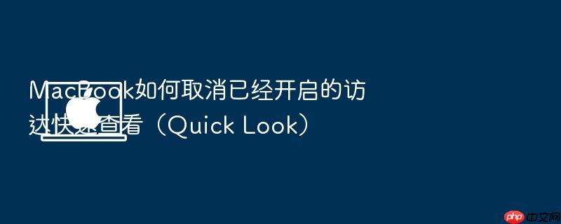 macbook如何取消已经开启的访达快速查看(quick look)