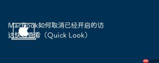 macbook如何取消已经开启的访达快速查看(quick look)