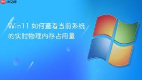 win11 如何查看当前系统的实时物理内存占用量