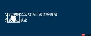 mac电脑怎么取消已设置的屏幕亮度自动感应
