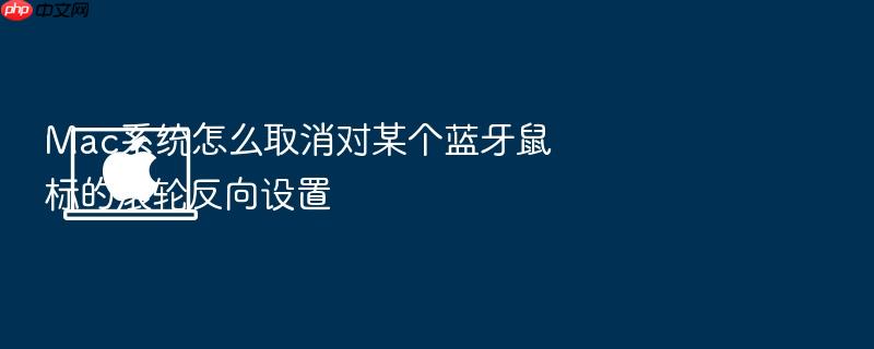 mac系统怎么取消对某个蓝牙鼠标的滚轮反向设置