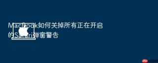 macbook如何关掉所有正在开启的safari弹窗警告