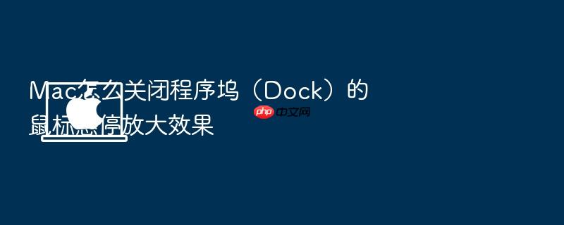 mac怎么关闭程序坞(dock)的鼠标悬停放大效果