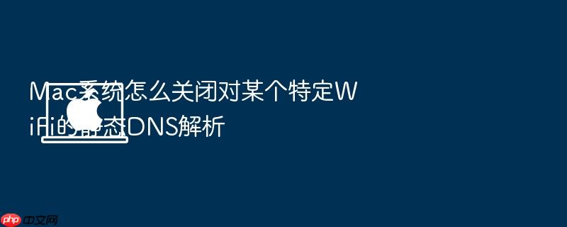 mac系统怎么关闭对某个特定wifi的静态dns解析