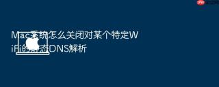 Mac系统怎么关闭对某个特定WiFi的静态DNS解析