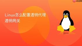 linux怎么配置透明代理透明网关