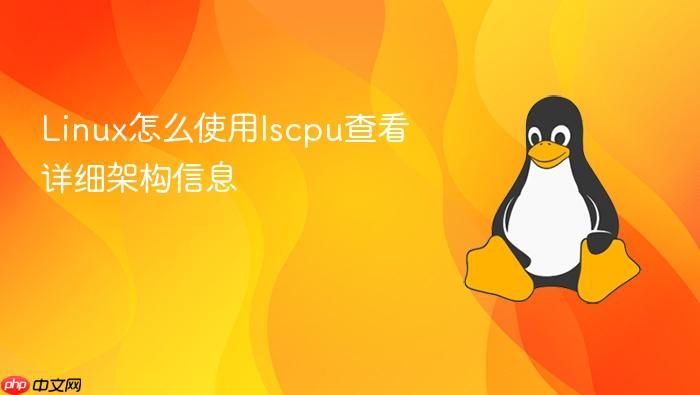 linux怎么使用lscpu查看详细架构信息
