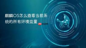 麒麟os怎么查看当前系统的所有环境变量