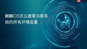 麒麟OS怎么查看当前系统的所有环境变量