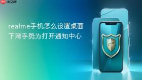 realme手机怎么设置桌面下滑手势为打开通知中心