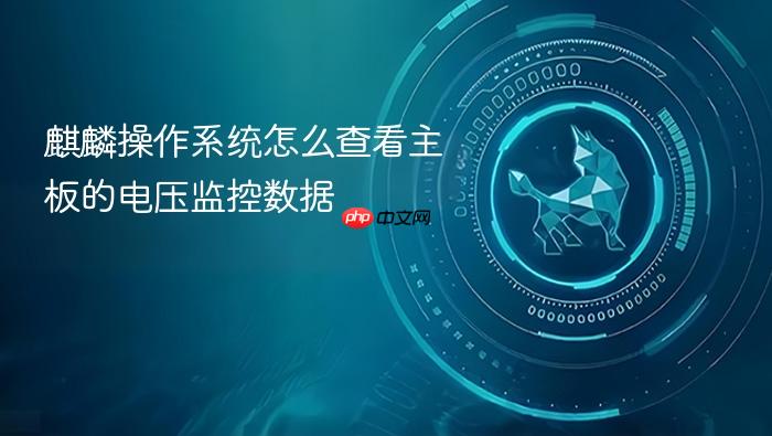 麒麟操作系统怎么查看主板的电压监控数据
