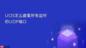 uos怎么查看所有监听的udp端口