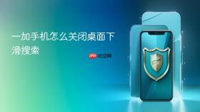 一加手机怎么关闭桌面下滑搜索