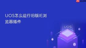 UOS怎么运行旧版IE浏览器插件
