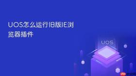 uos怎么运行旧版ie浏览器插件