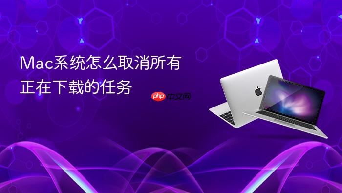 mac系统怎么取消所有正在下载的任务
