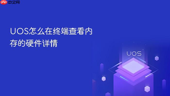uos怎么在终端查看内存的硬件详情
