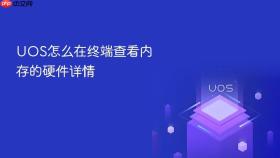 uos怎么在终端查看内存的硬件详情