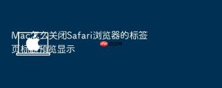 mac怎么关闭safari浏览器的标签页标题预览显示