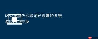 mac电脑怎么取消已设置的系统虚拟内存交换