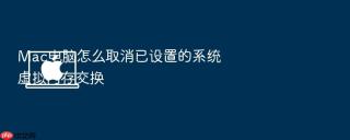 Mac电脑怎么取消已设置的系统虚拟内存交换