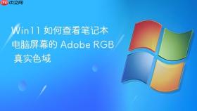 win11 如何查看笔记本电脑屏幕的 adobe rgb 真实色域