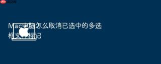 mac电脑怎么取消已选中的多选框文件标记