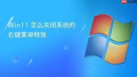 win11 怎么关闭系统的右键菜单特效