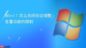 win11 怎么关闭自动调整音量功能的限制