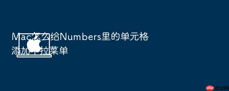 mac怎么给numbers里的单元格添加下拉菜单