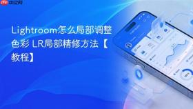 Lightroom怎么局部调整色彩 LR局部精修方法【教程】