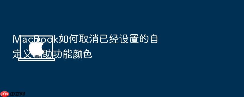 macbook如何取消已经设置的自定义辅助功能颜色