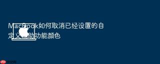 macbook如何取消已经设置的自定义辅助功能颜色