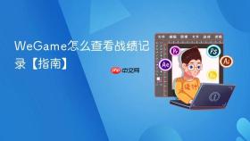 wegame怎么查看战绩记录【指南】