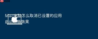 Mac电脑怎么取消已设置的应用启动动画效果