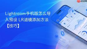 lightroom手机版怎么导入预设 lr滤镜添加方法【技巧】