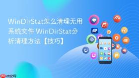 windirstat怎么清理无用系统文件 windirstat分析清理方法【技巧】