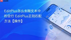 EditPlus怎么去除文本中的空行 EditPlus正则匹配方法【操作】