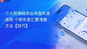 个人所得税怎么申报年度退税 个税年度汇算清缴方法【技巧】