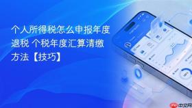 个人所得税怎么申报年度退税 个税年度汇算清缴方法【技巧】